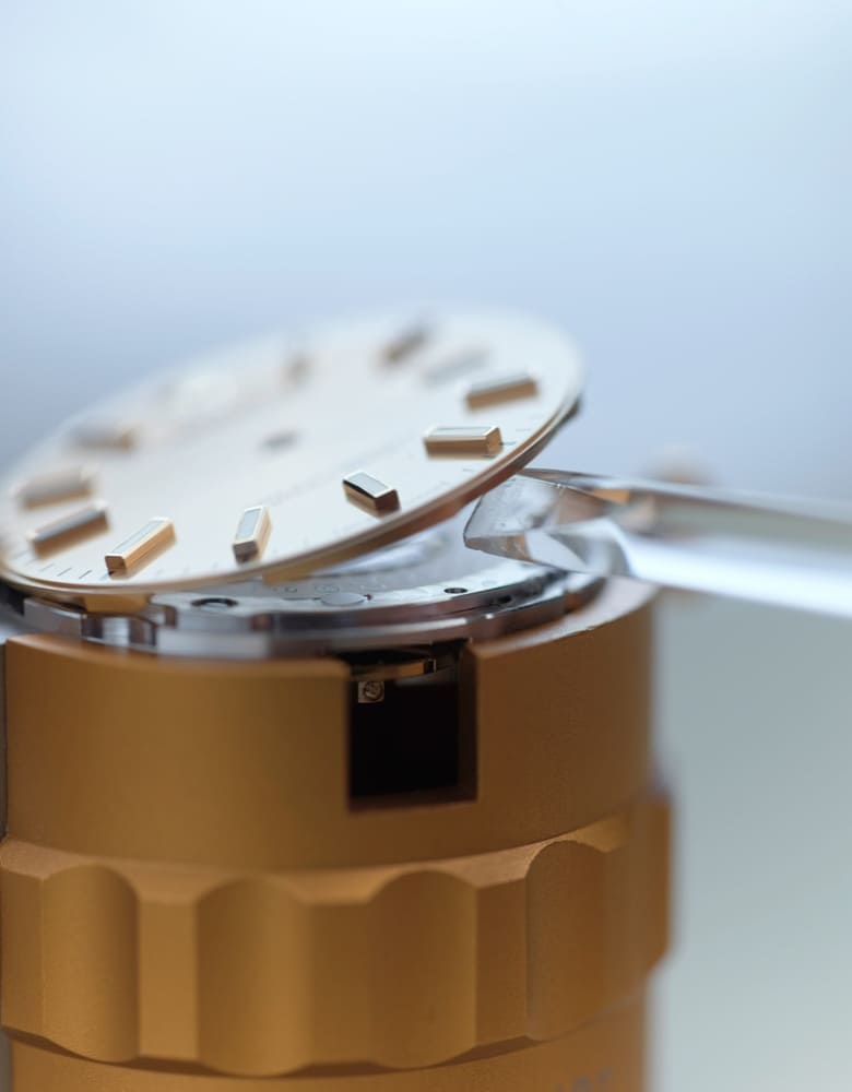 Rolex Servicing Procedure - Orologeria Bastiani